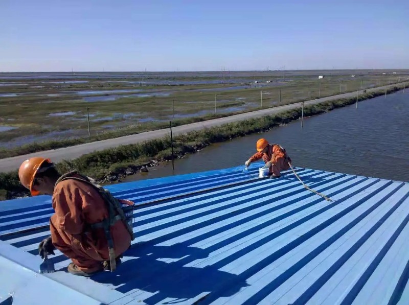 潜江彩钢瓦屋面防腐翻新